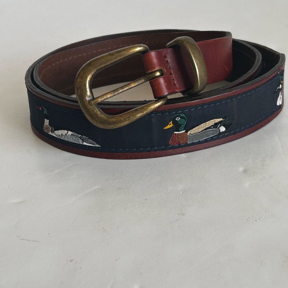 Stylish Brown and Blue Men's Belt with Duck Design
